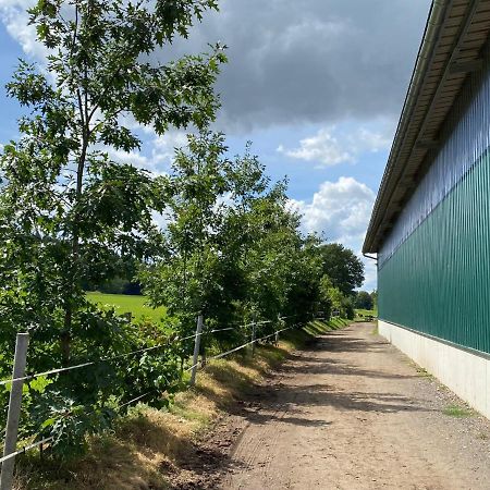 Ferienwohnung An Der Reitanlage Glashutte  Экстерьер фото